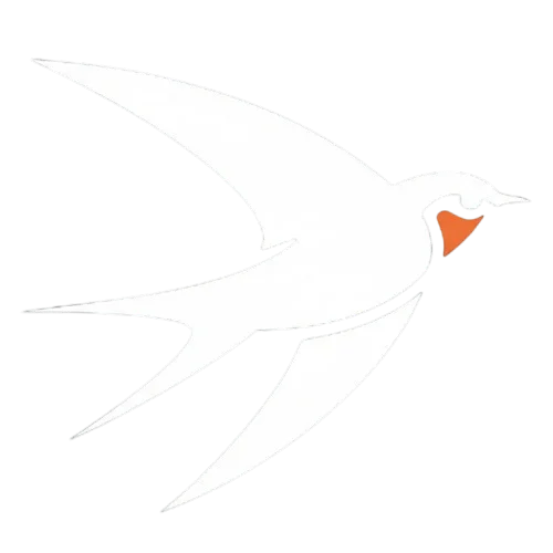 Apus Digital - Martinet